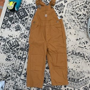 3t lined carhartt overalls